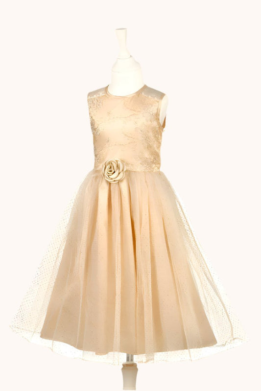 Speedy Monkey Noraline Fancy Gold Dress 5-7yr