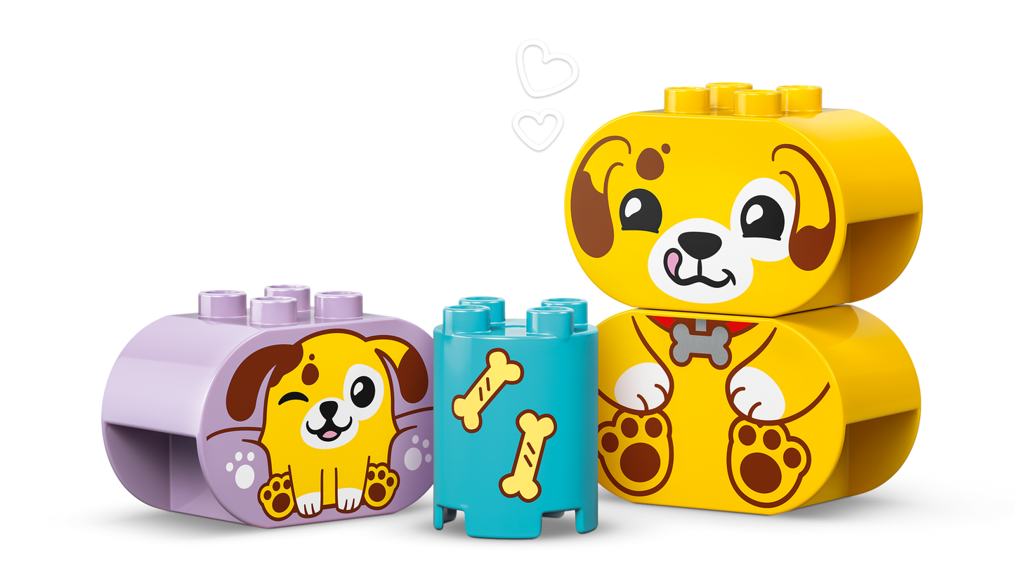 LEGO® DUPLO® 10441 Shape Sorter: Puppy House