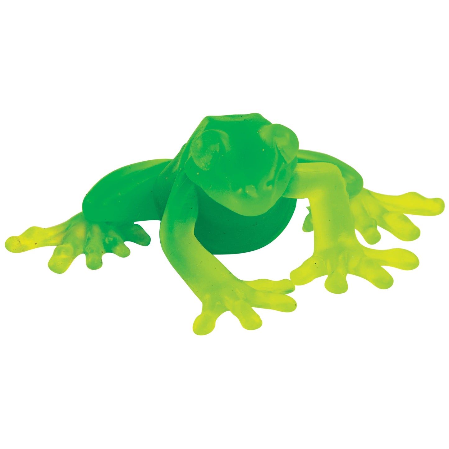 Us Toy Company COLORMORPH FROGGY