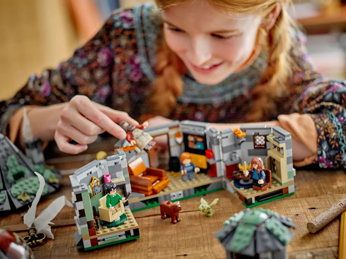 LEGO® Harry Potter™ 76428 Hagrid's Hut: An Unexpected Visit