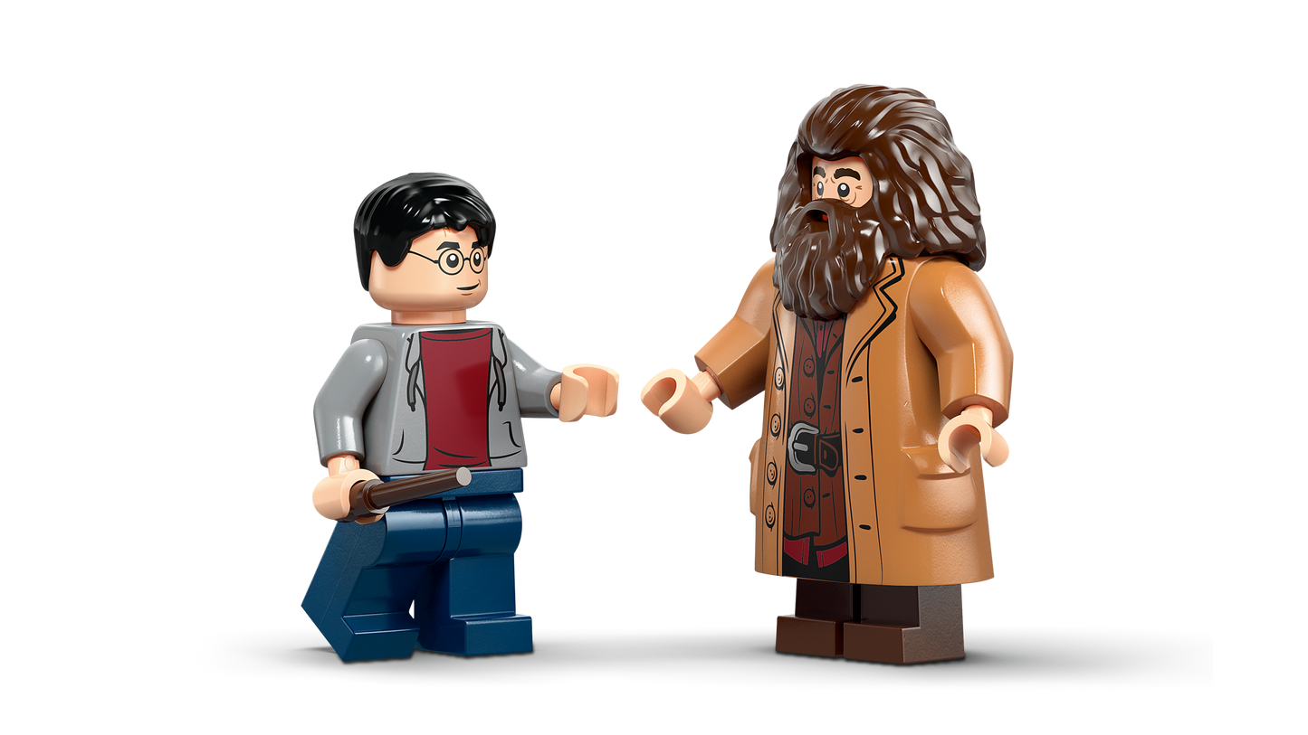 LEGO® Harry Potter™ 76459 Hagrid™ & Harry's Privet Drive Escape