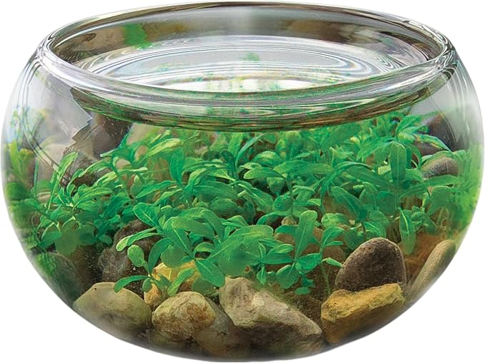 Silver Circle Products Mini WaterPlants Aquascape