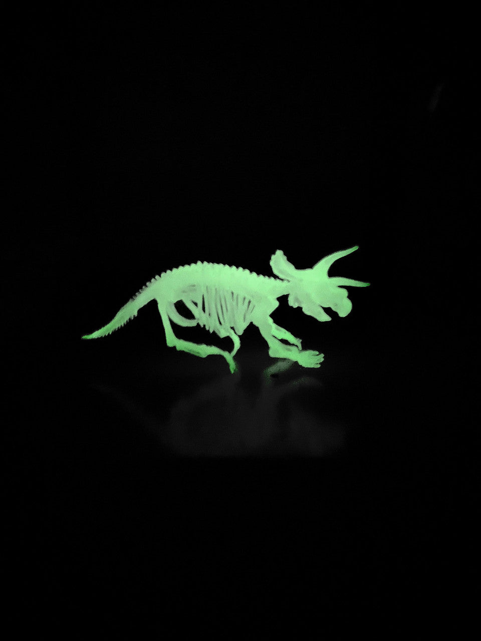 Tedco Glow In the Dark Dinosaur Skeleton Models (Random Assortment 1pc)