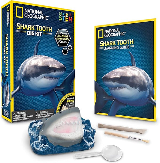 Blue Marble RTHAMSHDIG National Geographic Shark Teeth Fossils Dig Kit