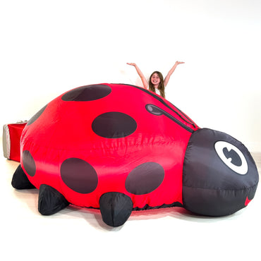 Air Fort ADD Ladybug