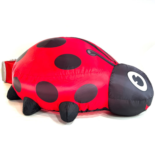 Air Fort ADD Ladybug