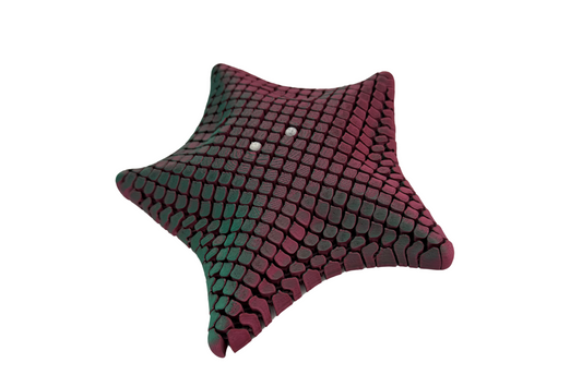 Pye Pals Articulated Starfish