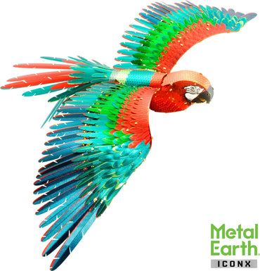 Parrot - Color
