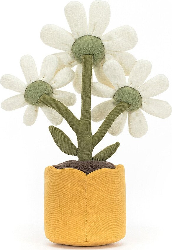 Amuseable Daisy