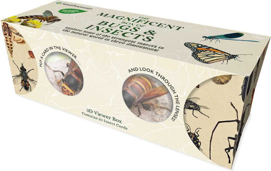 The Magnificent Box of Bugs and Insects