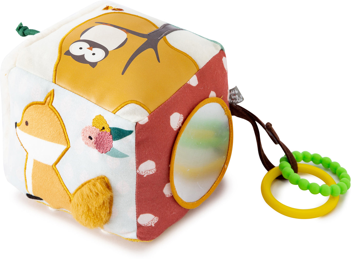 Forest Activity Cube