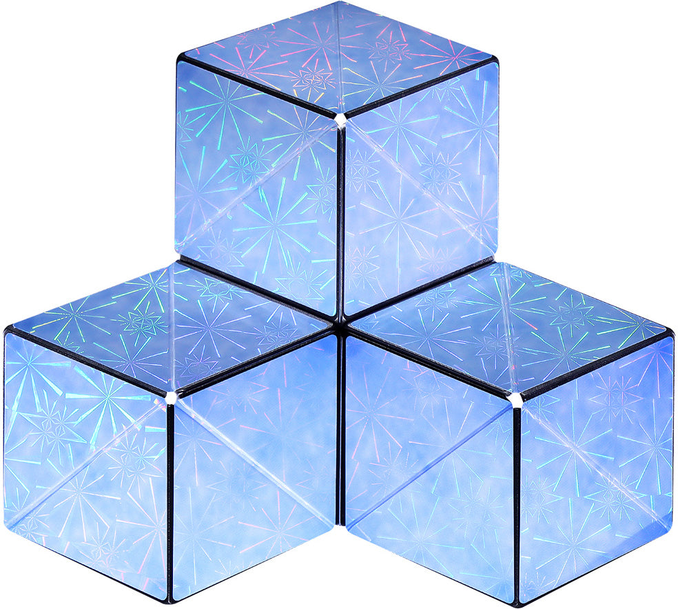Fun In Motion SHA17PL Shashibo Holographic Series Polar