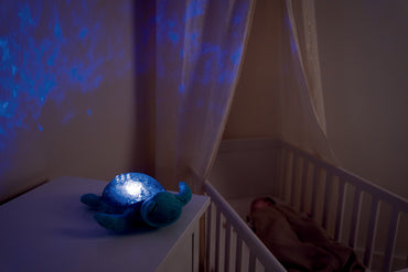 Cloud b Tranquil Turtle