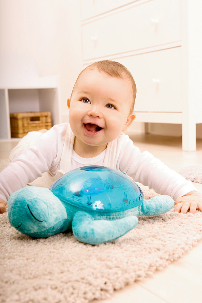 Cloud b Tranquil Turtle