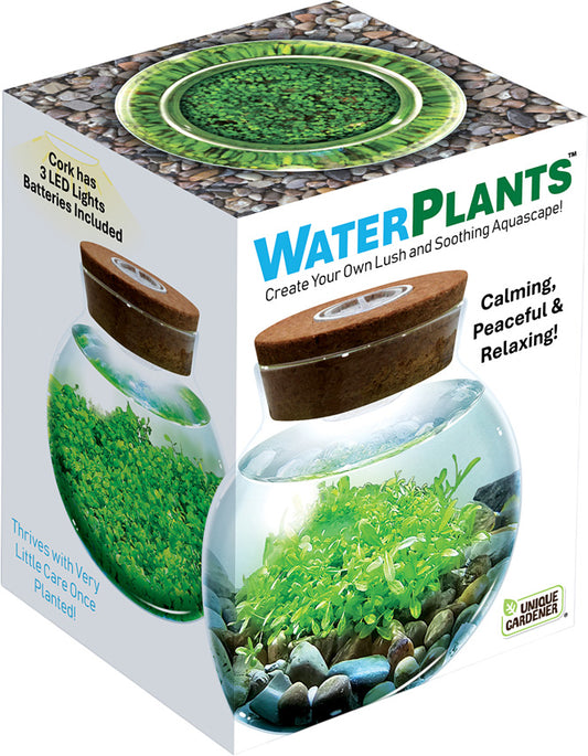 WaterPlants - Create Your Own Aquascape