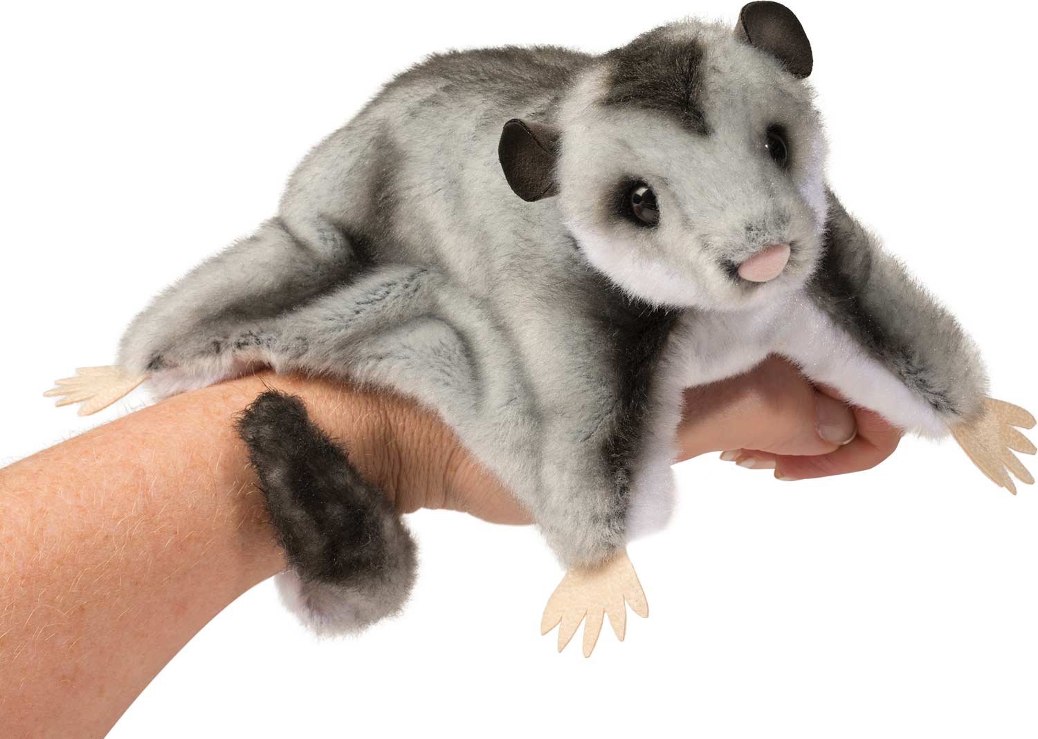 Squeek Sugar Glider