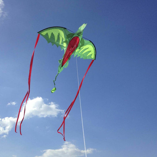Winged Dragon Shaped Kite