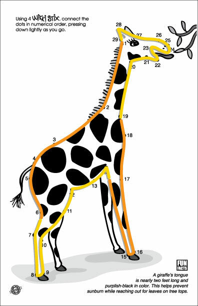 Animal Activity Pak