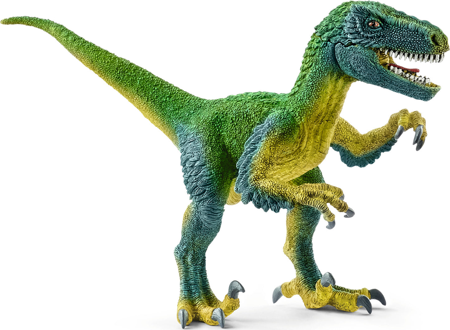 Velociraptor
