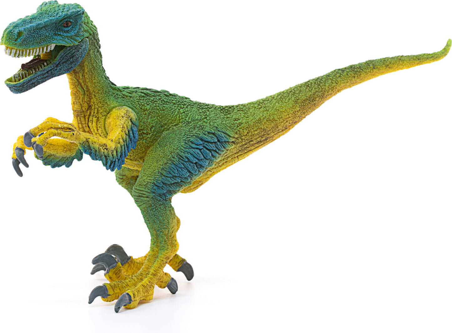 Velociraptor