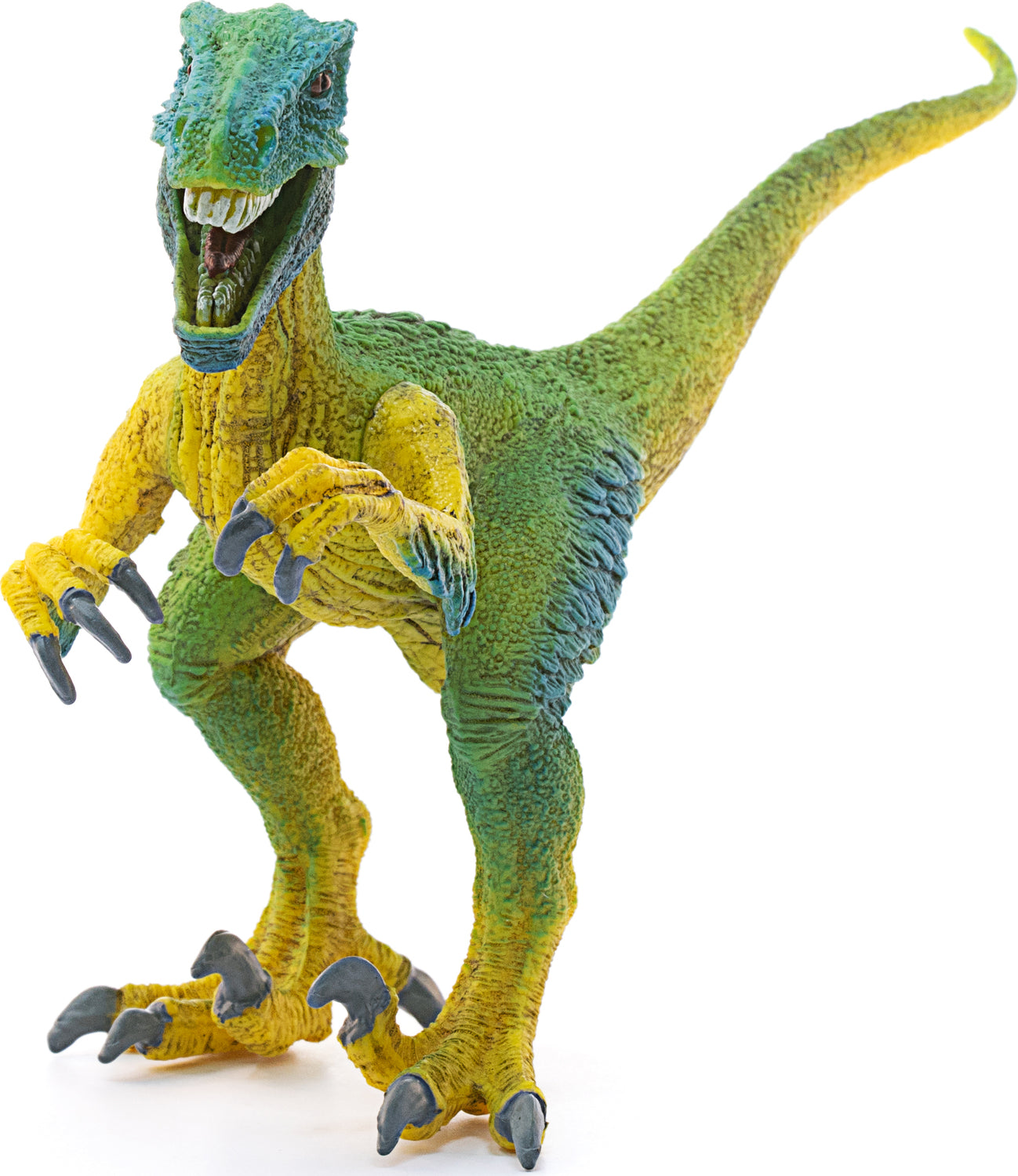 Velociraptor