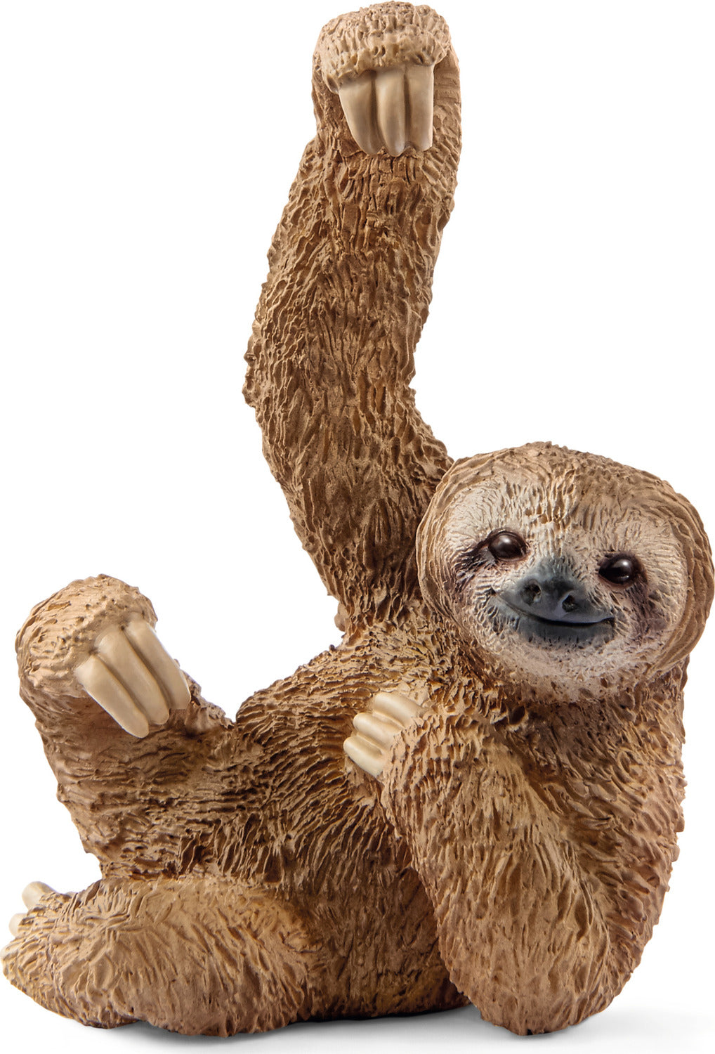 Sloth