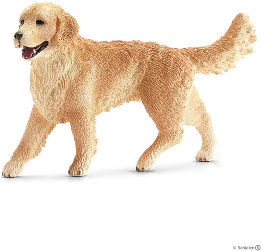 Golden Retriever, Female