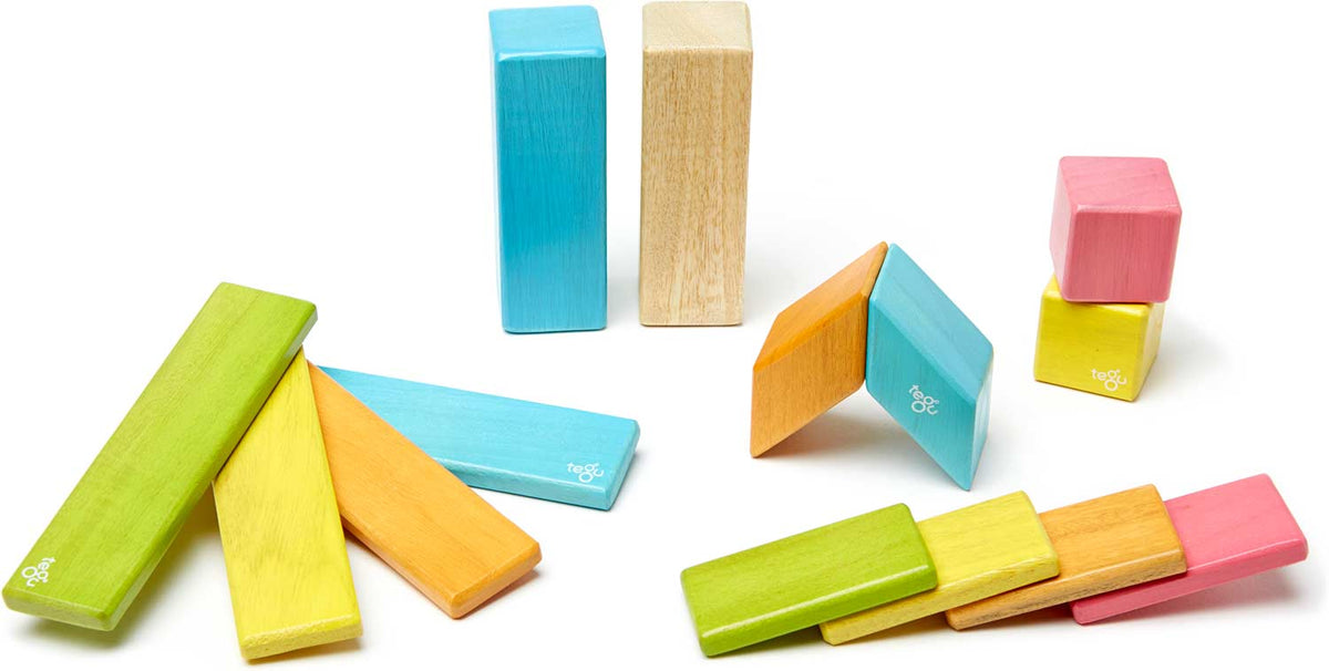 Tegu popular Magnetic Wooden Blocks