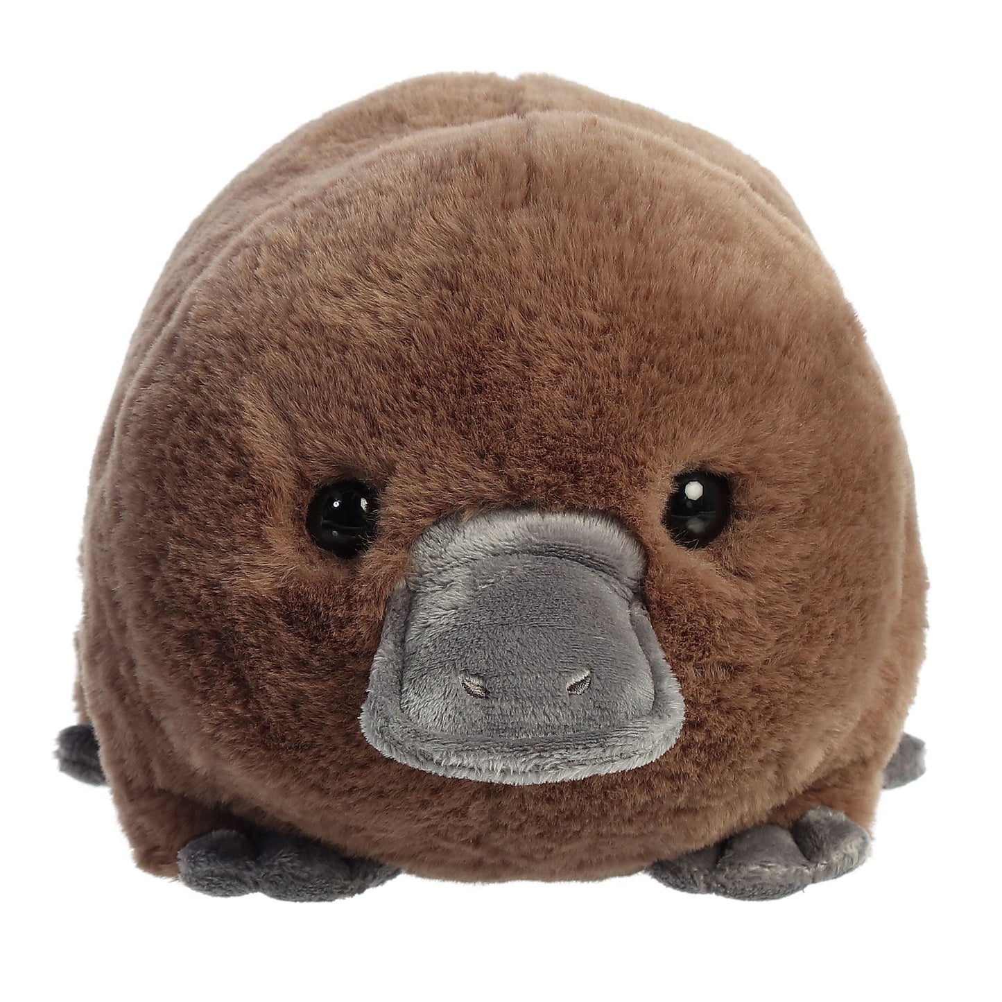 Aurora Plush Spudsters™ - 10" Pongo Platypus
