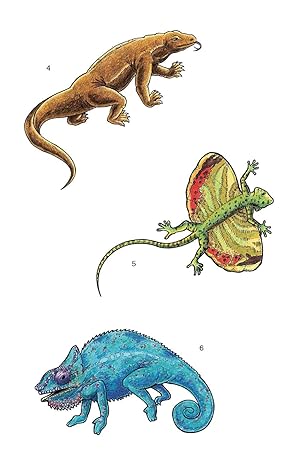 Dover Glow-in-the-Dark Tattoos: Lizards