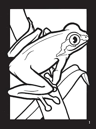 Dover Frogs Mini Stained Glass Coloring Book