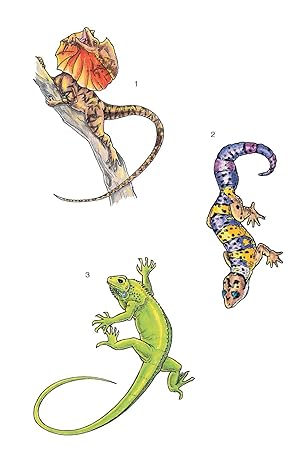 Dover Glow-in-the-Dark Tattoos: Lizards