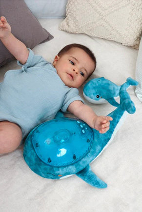 Tranquil Whale™ Family - Blue | 7901-WB | Cloud B