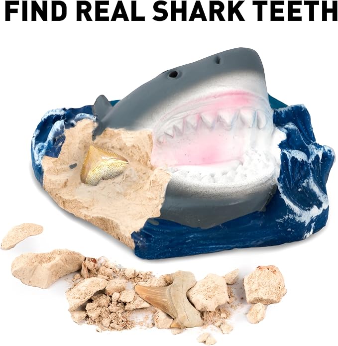 Blue Marble RTHAMSHDIG National Geographic Shark Teeth Fossils Dig Kit