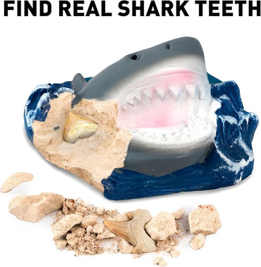 Blue Marble RTHAMSHDIG National Geographic Shark Teeth Fossils Dig Kit