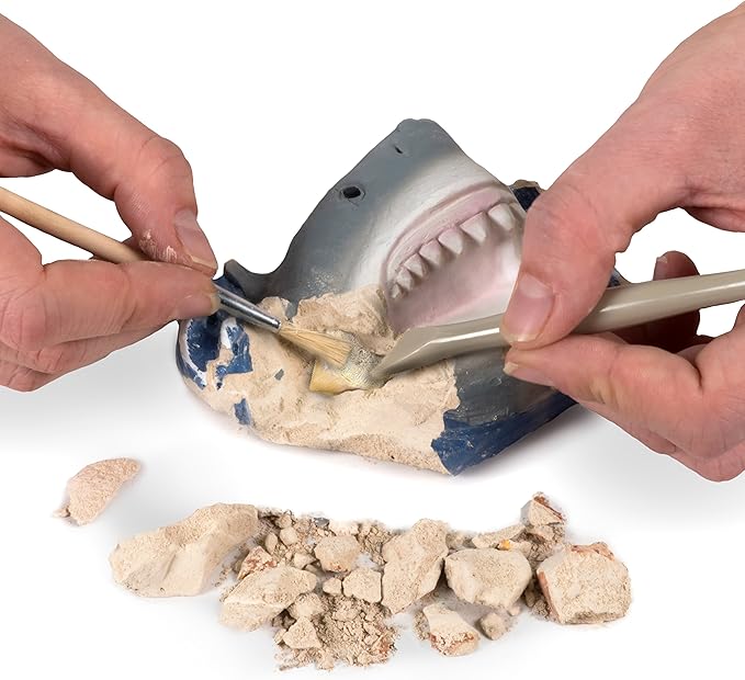 Blue Marble RTHAMSHDIG National Geographic Shark Teeth Fossils Dig Kit