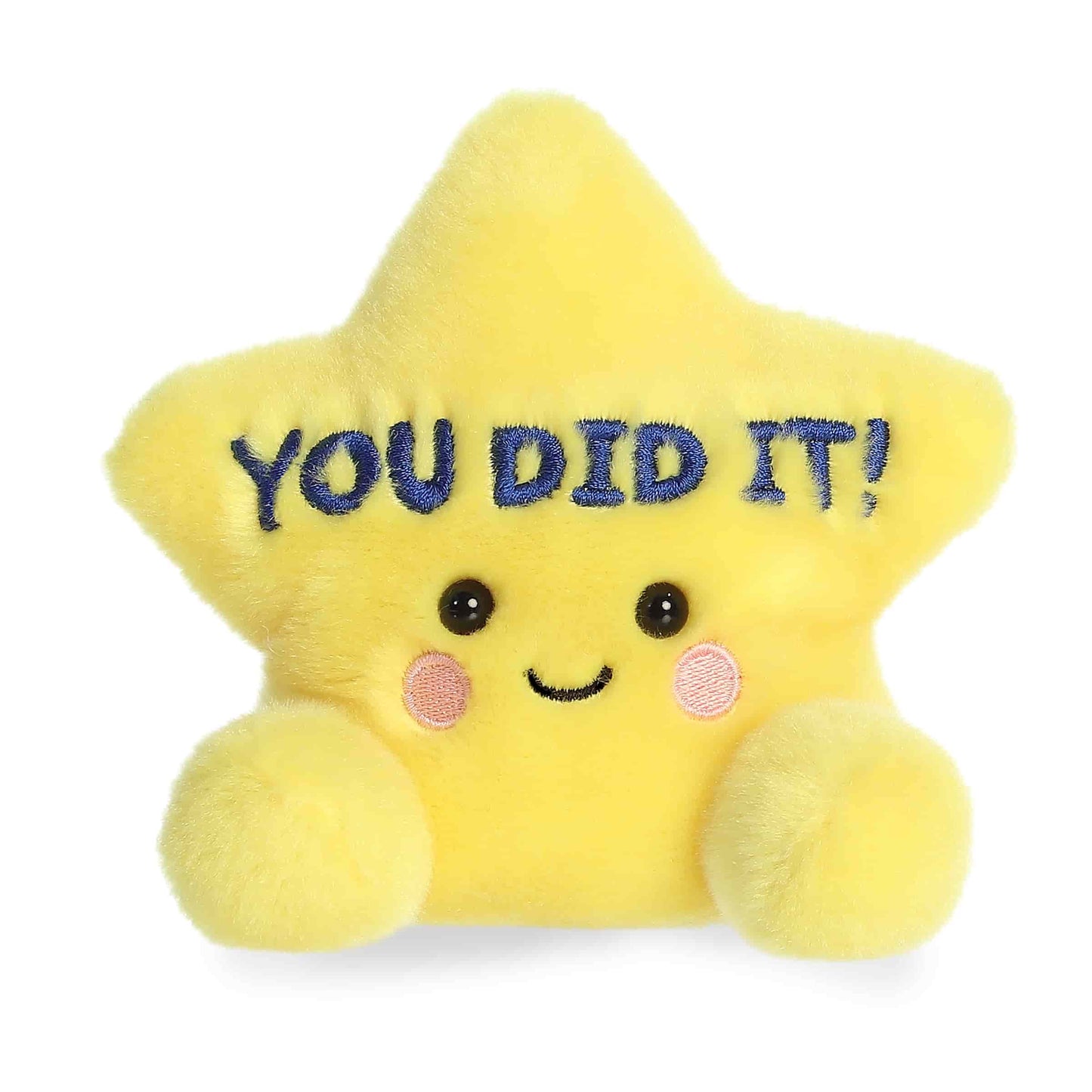 Aurora® Palm Pals™ 5" You Did It Star