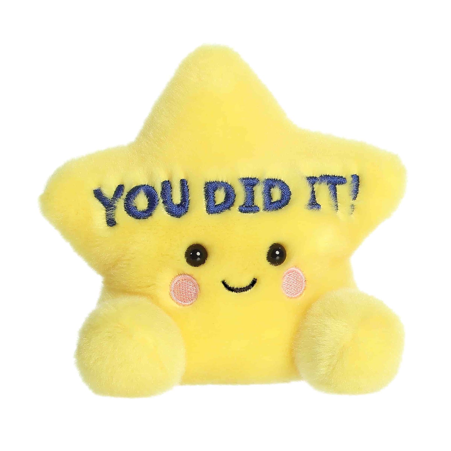 Aurora® Palm Pals™ 5" You Did It Star
