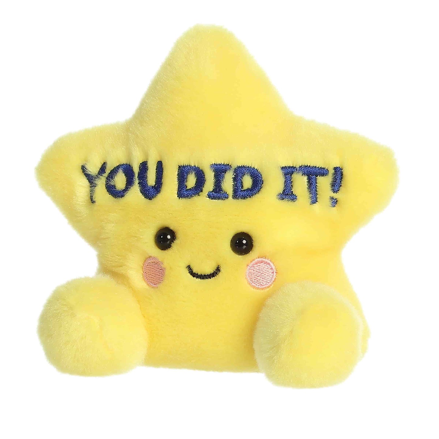 Aurora® Palm Pals™ 5" You Did It Star