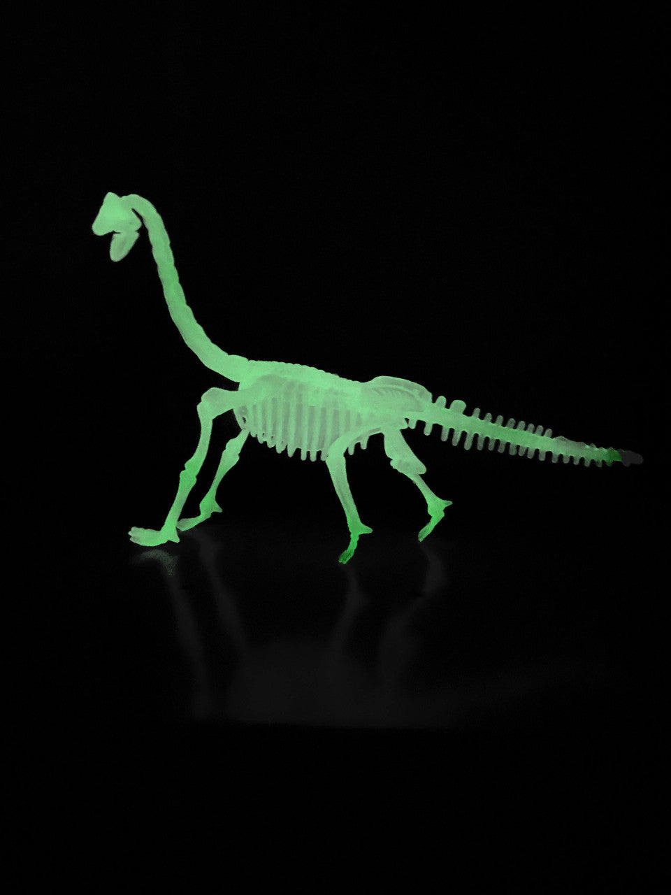Tedco Glow In the Dark Dinosaur Skeleton Models (Random Assortment 1pc)