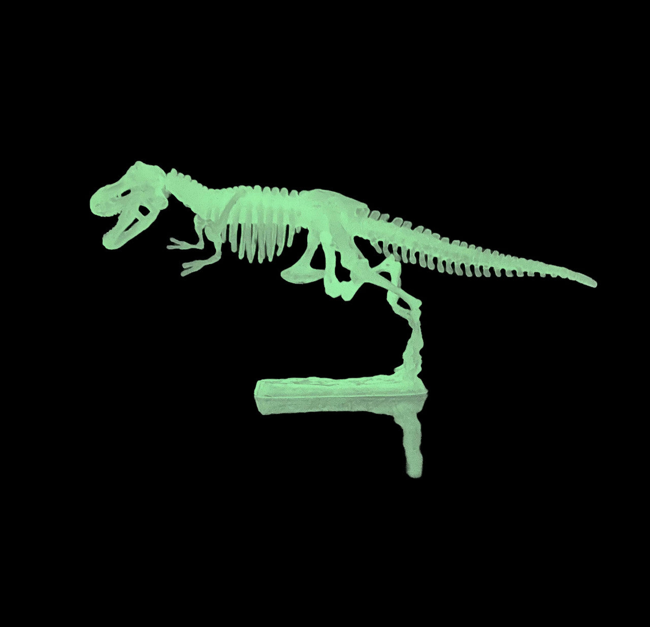 Tedco Glow In the Dark Dinosaur Skeleton Models (Random Assortment 1pc)