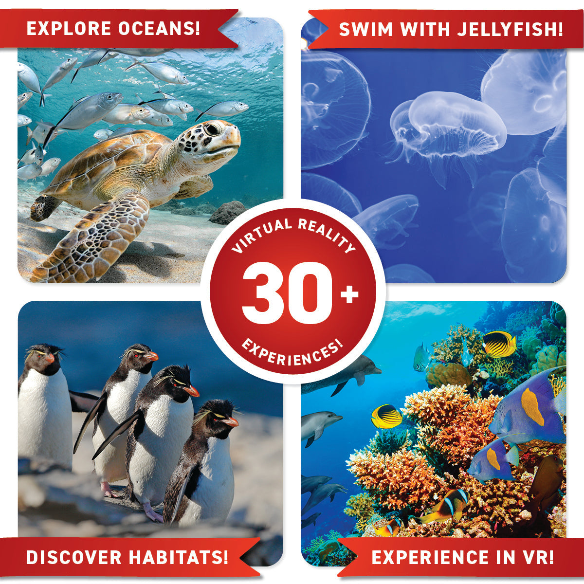 Abacus Virtual Reality Discovery Gift Set w/ DK Book Oceans!