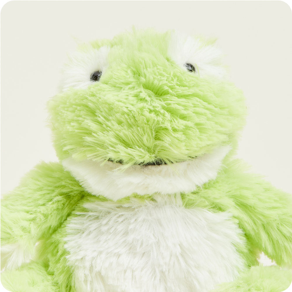 Warmies Frog Warmies Junior