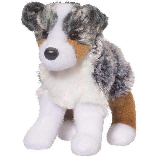 Dog, Australian Shepherd - Steward | Douglas | 4019