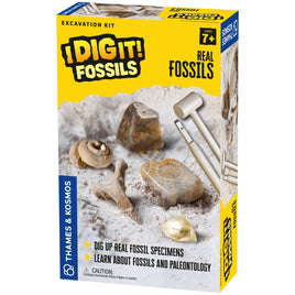 I Dig It! - Real Fossils Excavation Kit | Thames & Kosmos | 630461