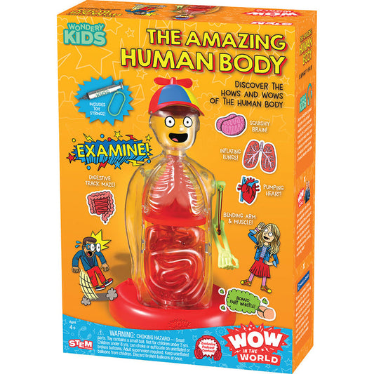 Thames & Kosmos Wow In The World 545009 The Amazing Human Body