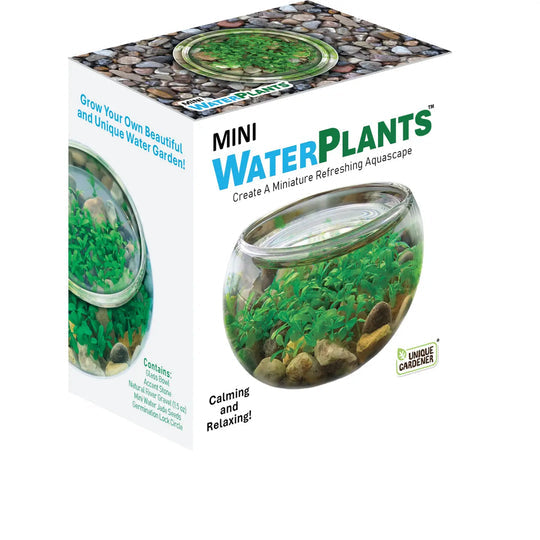 Silver Circle Products Mini WaterPlants Aquascape