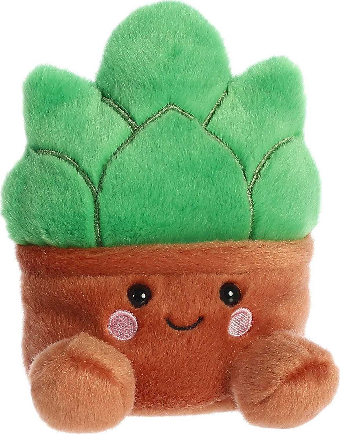 Palm Pals - 5" Gigi Succulent