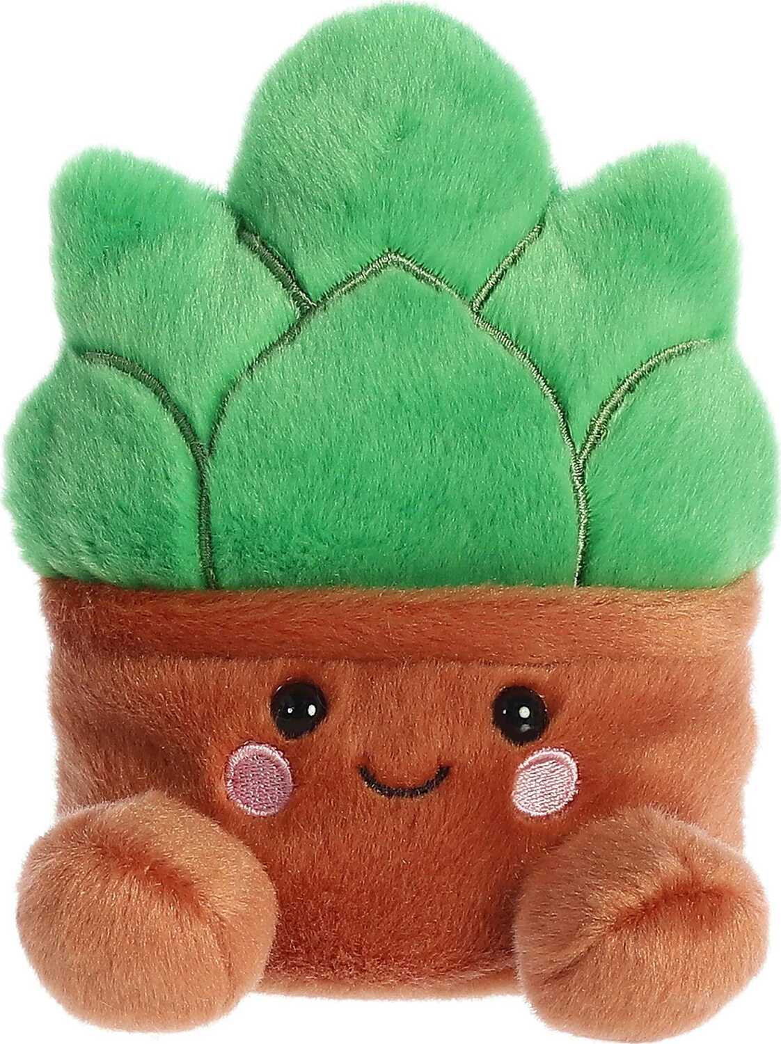 Palm Pals - 5" Gigi Succulent