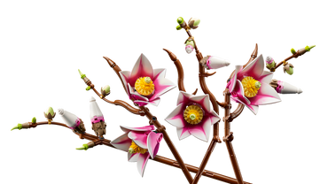 LEGO® 11510 Botanicals Magnolia Branches